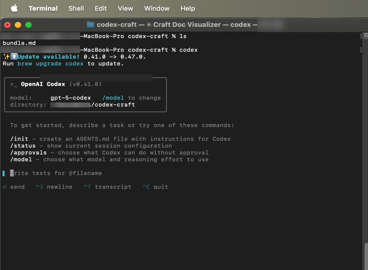 Go to Codex CLI